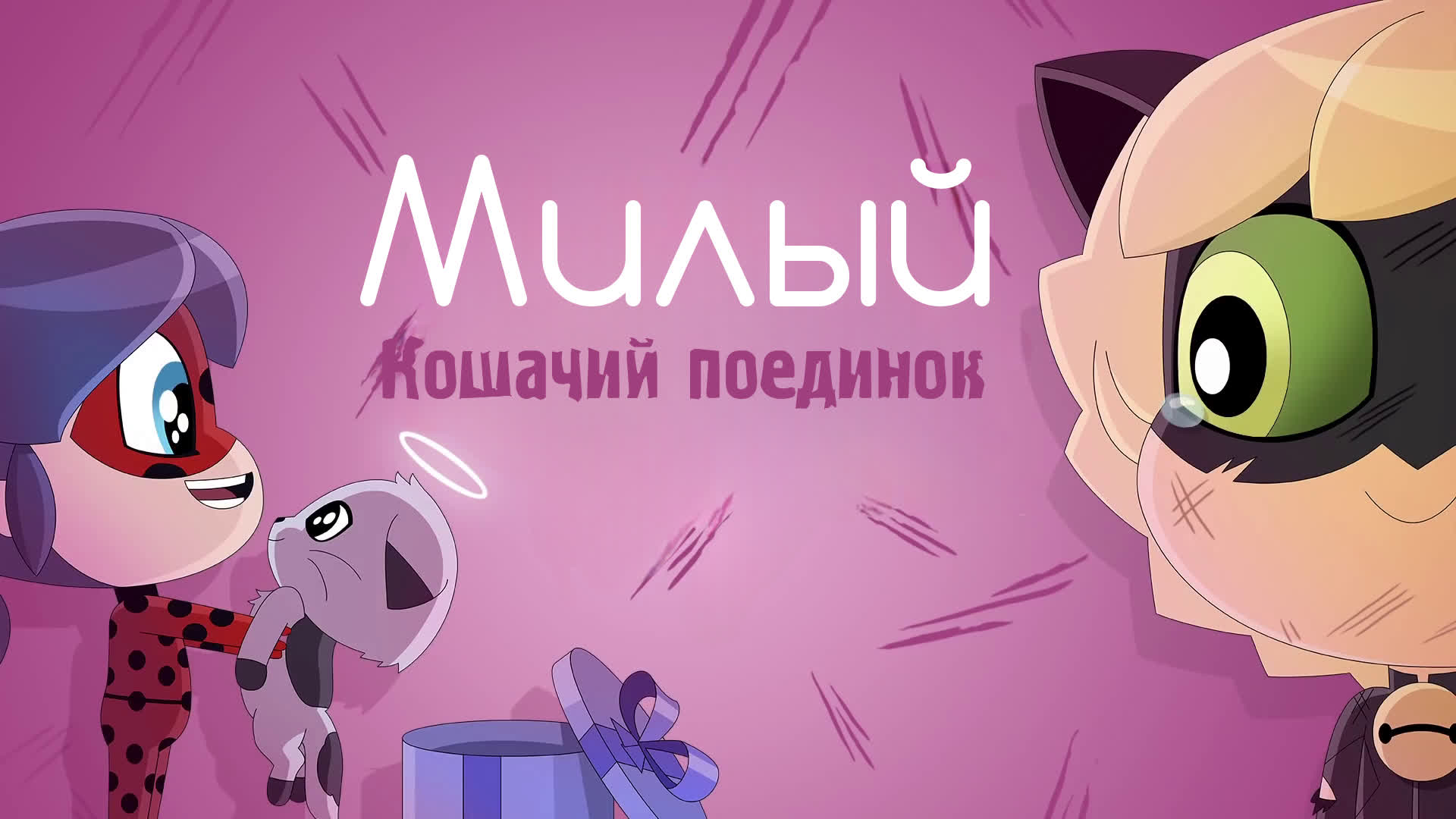 Милый кошачий поединок